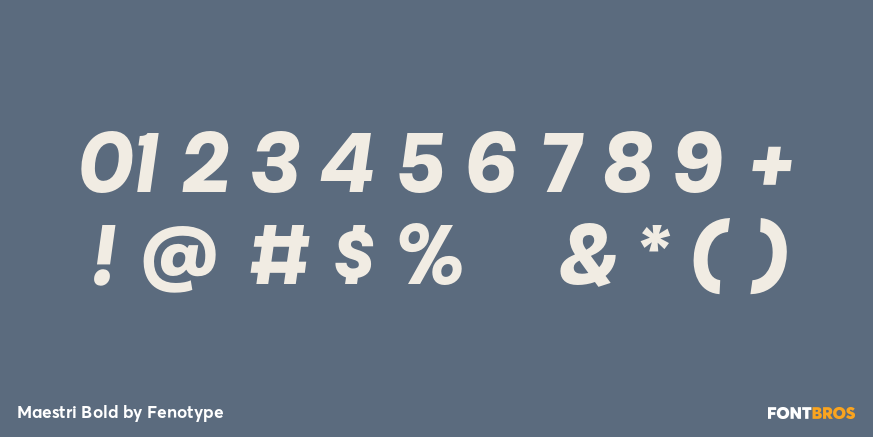 Maestri Bold Font Poster #4