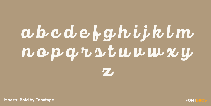 Maestri Bold Font Poster #3