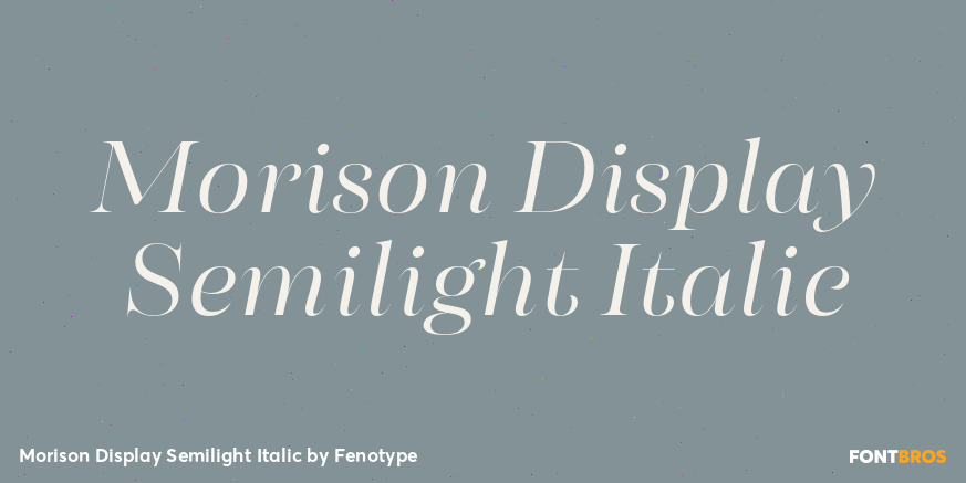 Morison Display Semilight Italic Poster