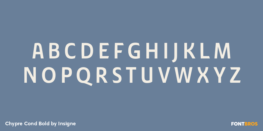 Chypre Cond Bold Font Poster #2