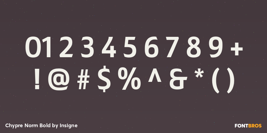 Chypre Norm Bold Font Poster #1