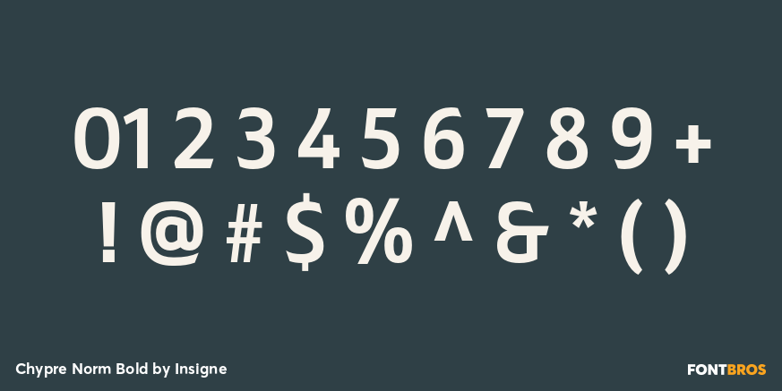 Chypre Norm Bold Font Poster #4