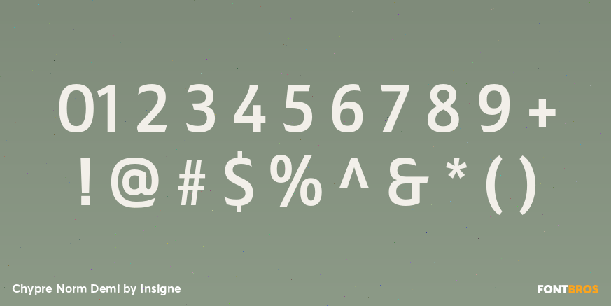 Chypre Norm Demi Font Poster #4