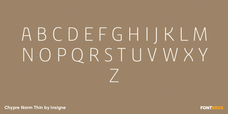 Chypre Norm Thin Font Poster #2