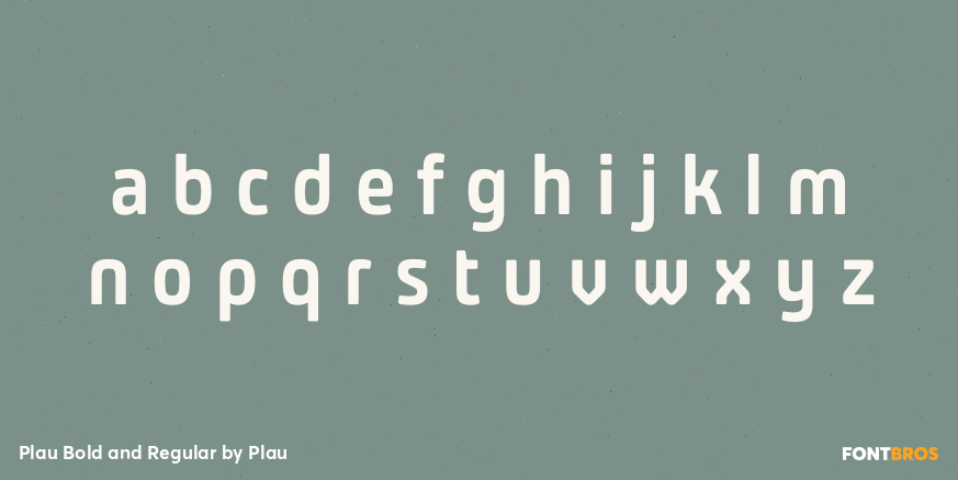 Plau Bold and Regular Font Poster #3