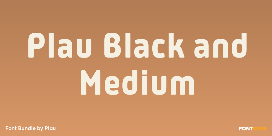 Plau Black and Medium Font Poster #1