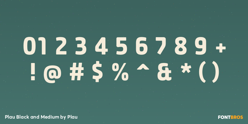 Plau Black and Medium Font Poster #1