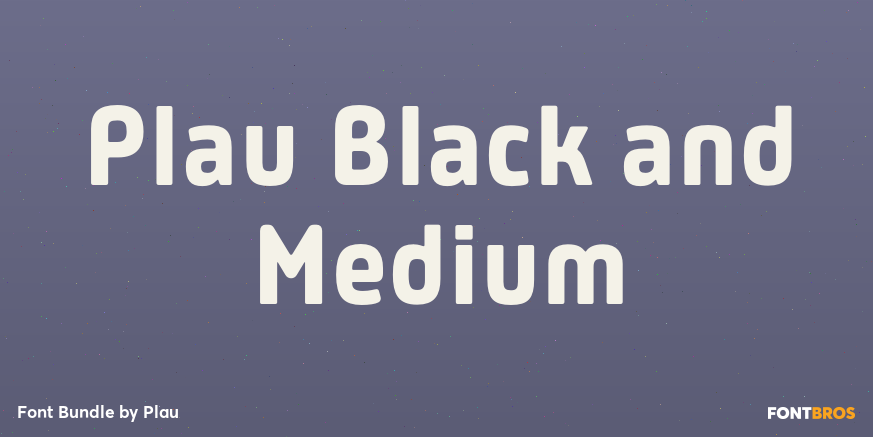 Plau Black and Medium Font Poster #1