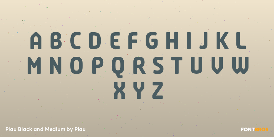 Plau Black and Medium Font Poster #2