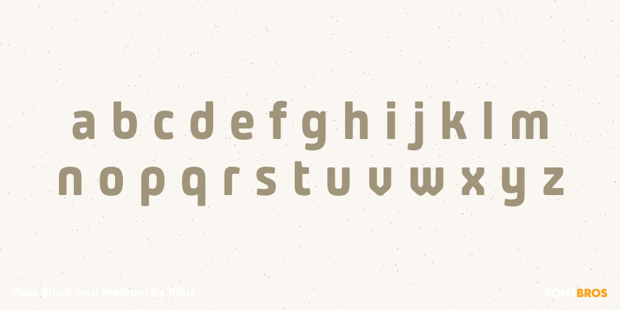 Plau Black and Medium Font Poster #3