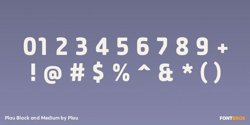 Plau Black and Medium Font Poster #4