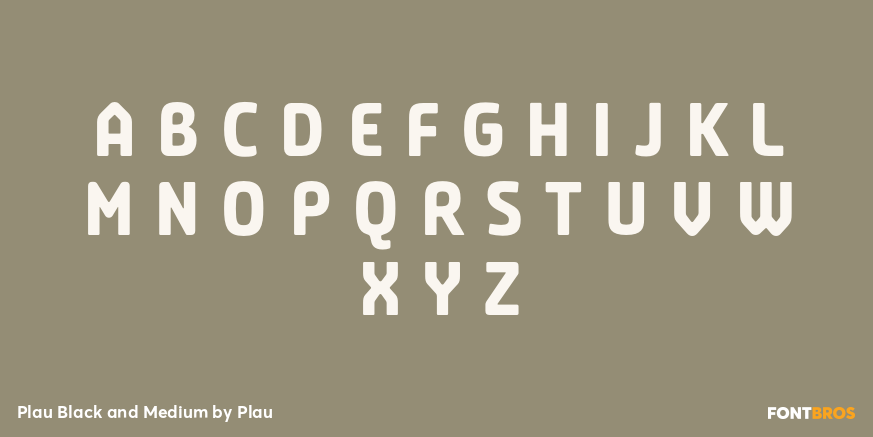 Plau Black and Medium Font Poster #1