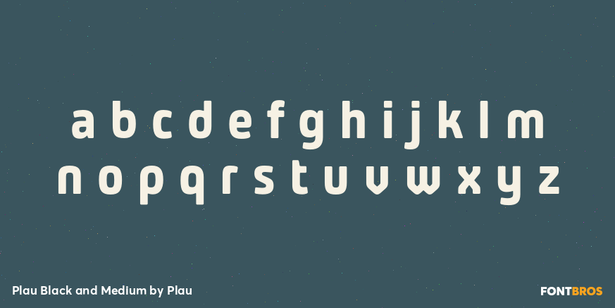 Plau Black and Medium Font Poster #1