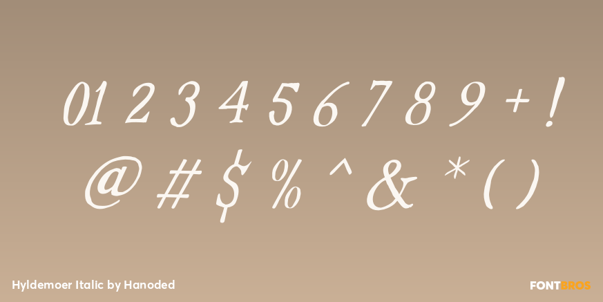 Hyldemoer Italic Font Poster #4
