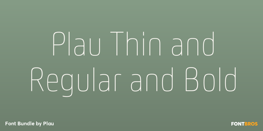 Plau Thin and Regular and Bold Font Poster #1