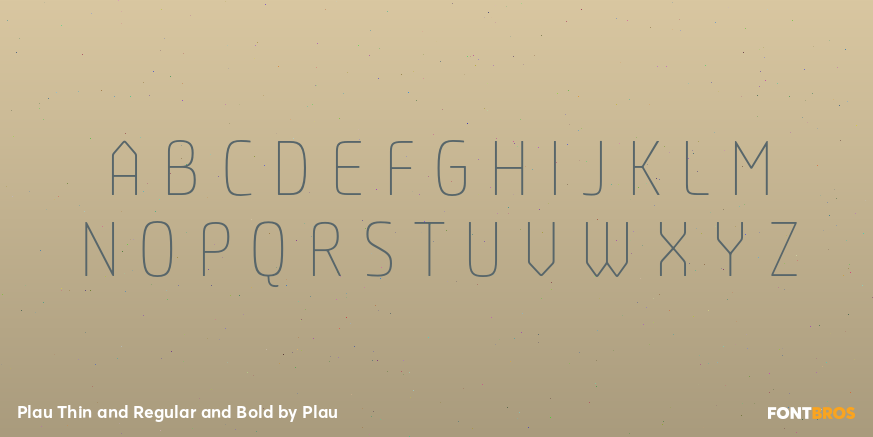 Plau Thin and Regular and Bold Font Poster #2