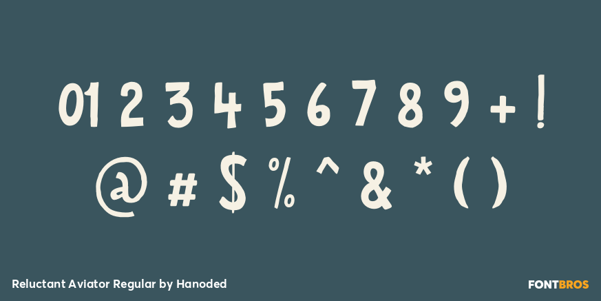 Reluctant Aviator Regular Font Poster #4