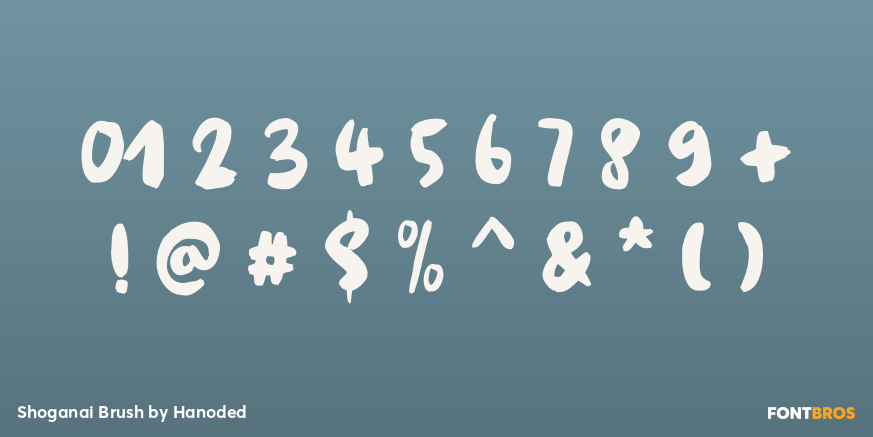 Shoganai Brush Font Poster #1