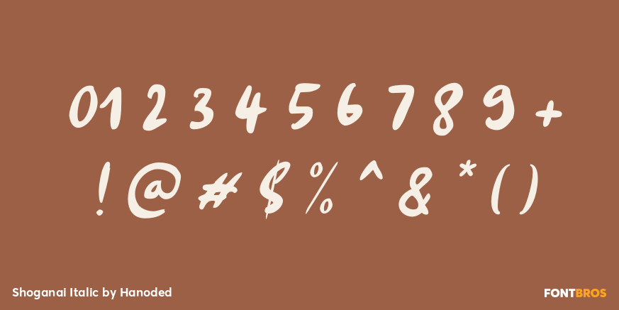 Shoganai Italic Font Poster #4