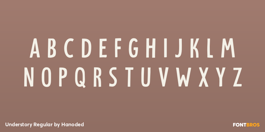 Understory Regular Font Poster #3