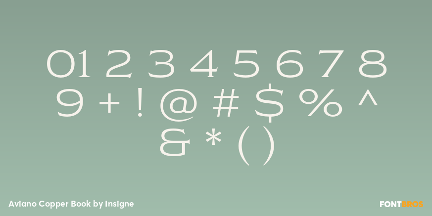 Aviano Copper Book Font Poster #4