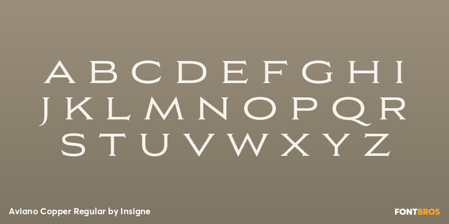 Aviano Copper Regular Font Poster #3
