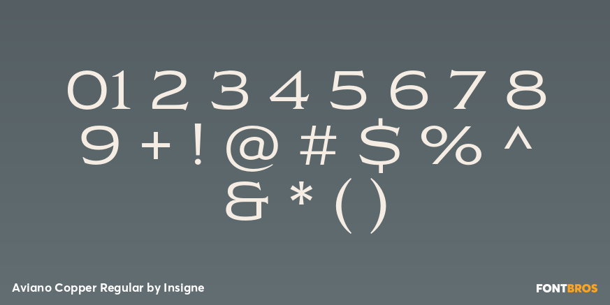 Aviano Copper Regular Font Poster #4