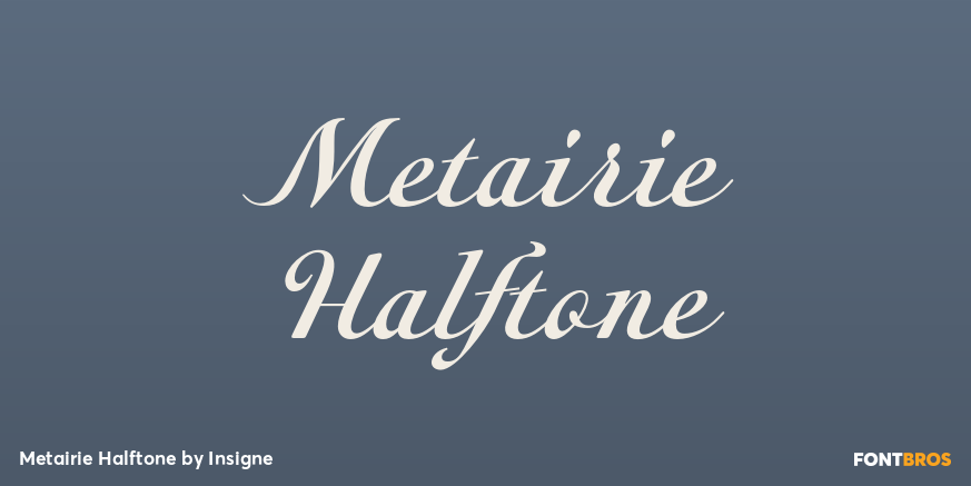 Metairie Halftone Poster