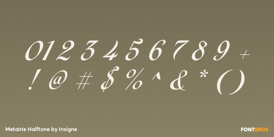 Metairie Halftone Font Poster #4