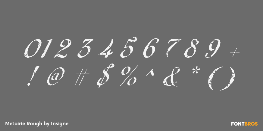 Metairie Rough Font Poster #1
