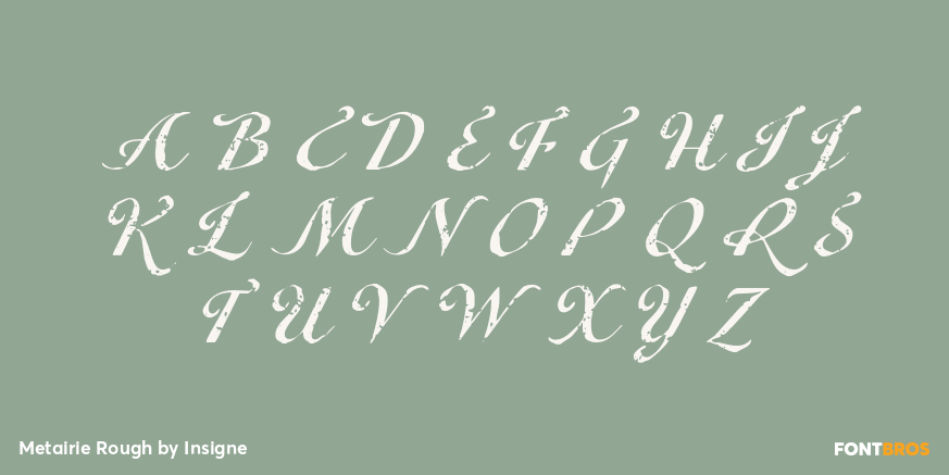 Metairie Rough Font Poster #1