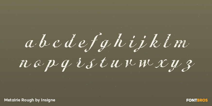 Metairie Rough Font Poster #1