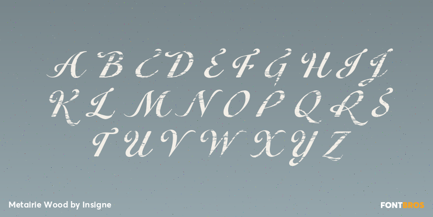 Metairie Wood Font Poster #2