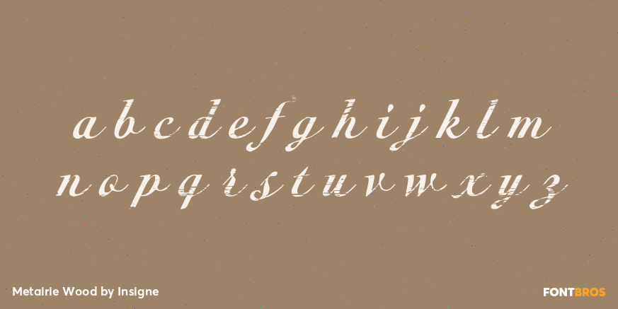 Metairie Wood Font Poster #3