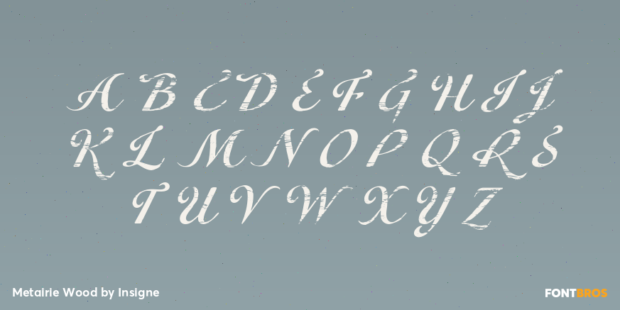 Metairie Wood Font Poster #1