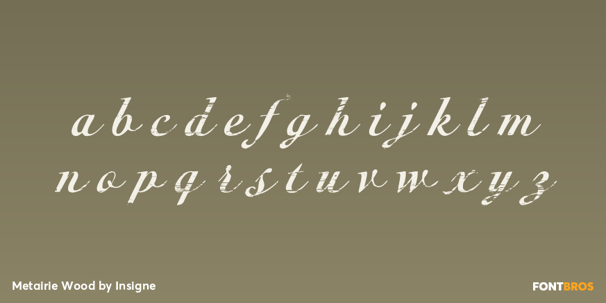 Metairie Wood Font Poster #1