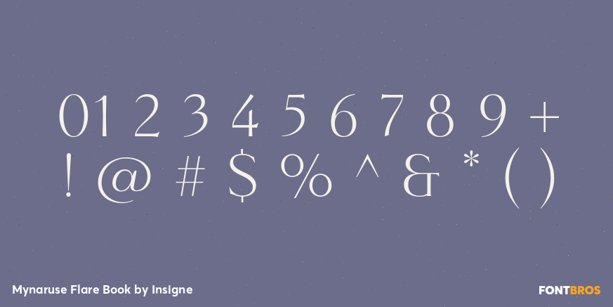 Mynaruse Flare Book Font Poster #4