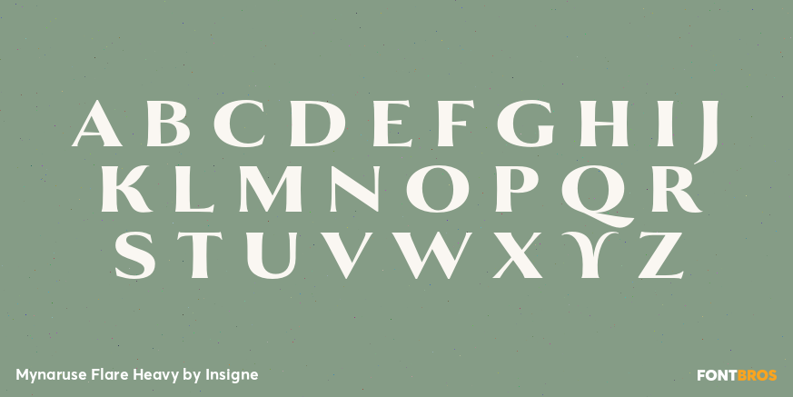 Mynaruse Flare Heavy Font Poster #1