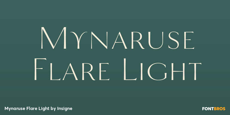 Mynaruse Flare Light Font Poster #1