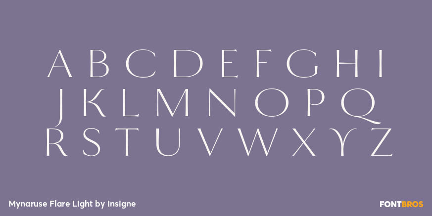 Mynaruse Flare Light Font Poster #2