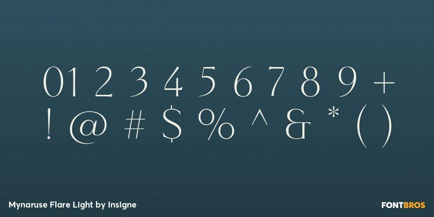 Mynaruse Flare Light Font Poster #4