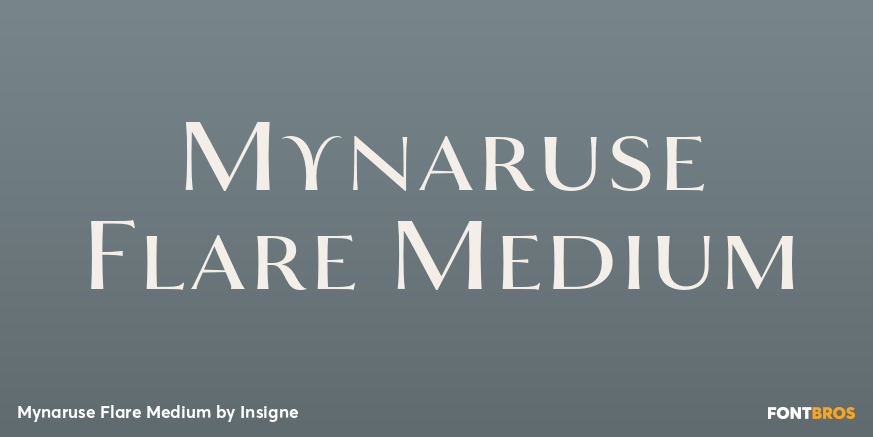 Mynaruse Flare Medium Font Poster #1
