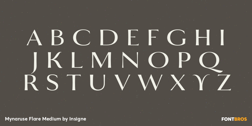 Mynaruse Flare Medium Font Poster #2