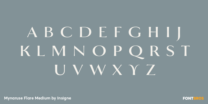 Mynaruse Flare Medium Font Poster #3