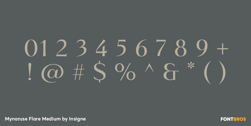 Mynaruse Flare Medium Font Poster #4