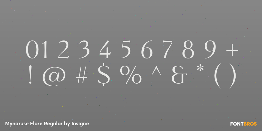 Mynaruse Flare Regular Font Poster #4
