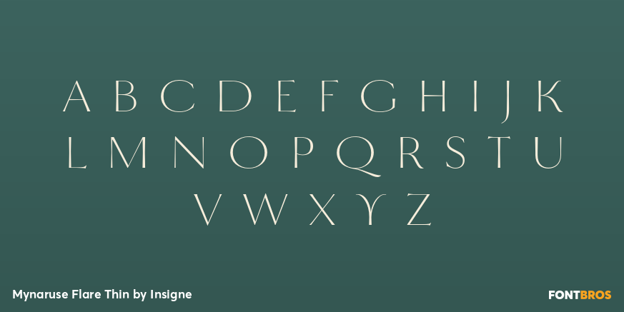 Mynaruse Flare Thin Font Poster #3