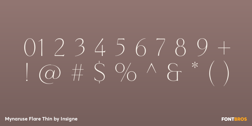 Mynaruse Flare Thin Font Poster #4