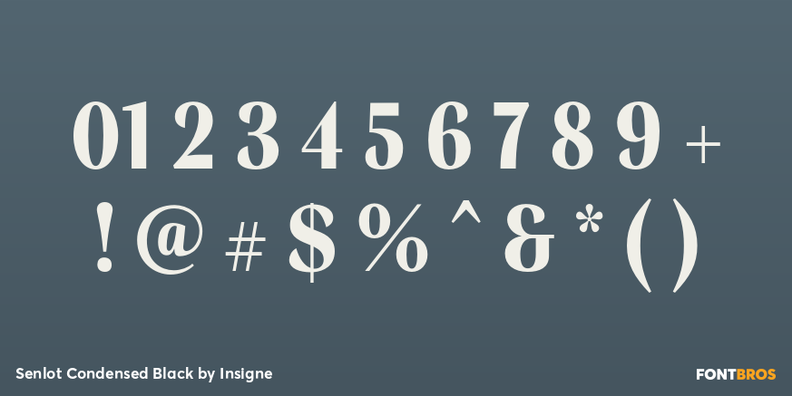 Senlot Condensed Black Font Poster #4