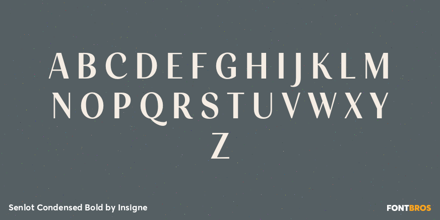 Senlot Condensed Bold Font Poster #2